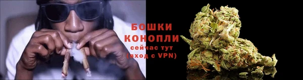 PSILOCYBIN Ступино