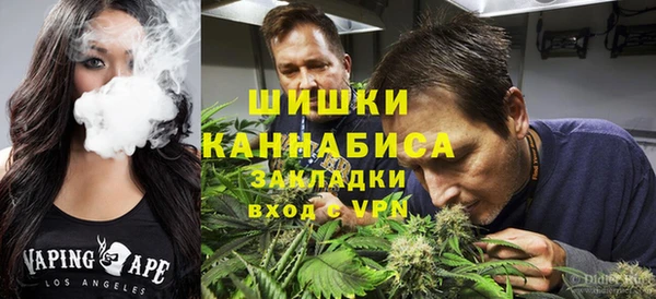 2c-b Белокуриха