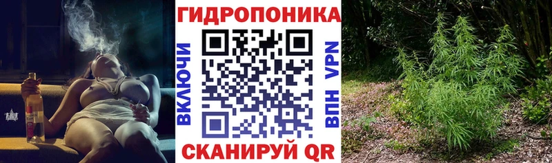 Конопля Bruce Banner  Костомукша 